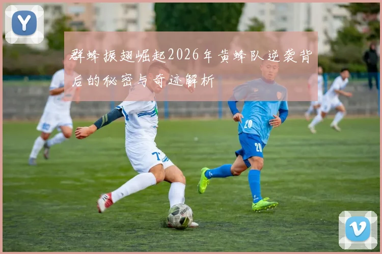 群蜂振翅崛起2026年黄蜂队逆袭背后的秘密与奇迹解析