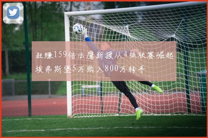 狂赚159倍法鹰新援从4级联赛崛起埃弗斯堡5万购入800万转手