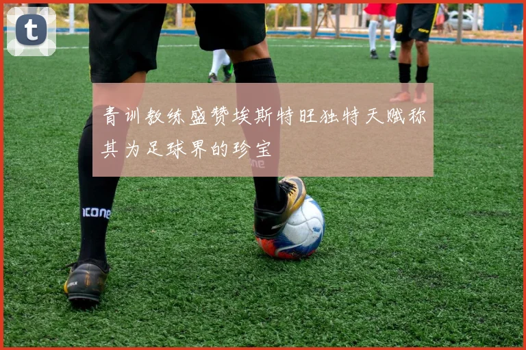 青训教练盛赞埃斯特旺独特天赋称其为足球界的珍宝